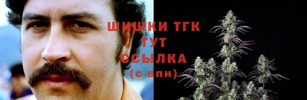 МДПВ Бронницы