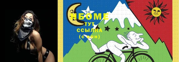 соль ск Бугульма