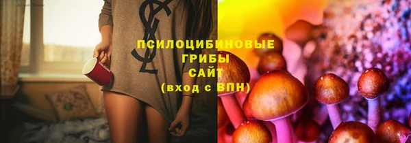 гидра Бородино