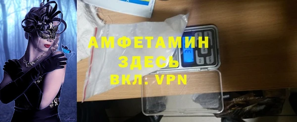 гидра Бородино