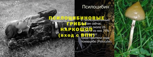 соль ск Бугульма