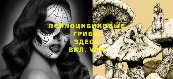 гидра Бородино